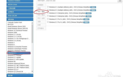 win8.1企业版下载,功能解析与安装步骤详解