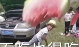 娱乐吃瓜老王,揭秘娱乐圈幕后故事