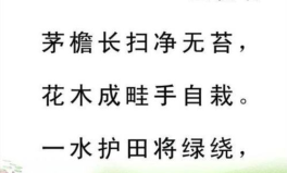 苔古诗,自然与生命的赞歌