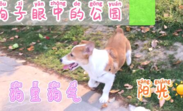 每日吃瓜51吃瓜,揭秘娱乐圈背后的那些事儿
