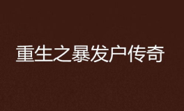 重生之暴发户,暴发户的财富传奇