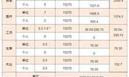 工伤保险缴费费率,“详解2025年辽宁省工伤保险缴费费率政策与实施细节”