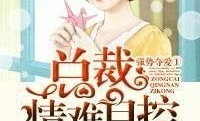 强势夺爱 总裁情难自控,强势夺爱，情难自控