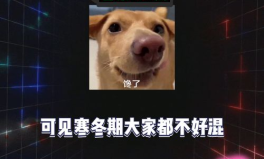 吃瓜娱乐八卦图,吃瓜娱乐八卦图背后的故事与真相