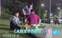 无休娱乐官网,揭秘潮流娱乐新天地