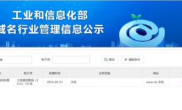 域名抢注,现象、策略与风险防范