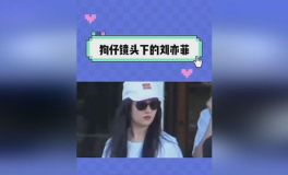 娱乐吃瓜记事本,吃瓜群众视角下的明星八卦