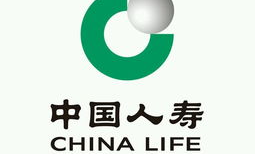 人寿保险车险,全面保障，贴心服务，您的安全之选