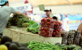 娱乐吃瓜视频背景板,揭秘明星幕后故事